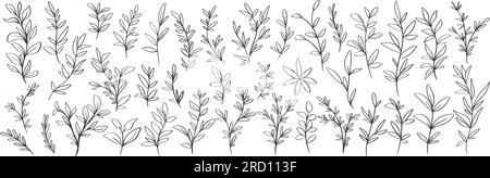 Hand drawn wild herbs big set. Rustic blade of grass, twigs and floral greenery doodle sketch style collection. Botanical natural decor, vector Stock Vector