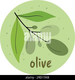 Olive branch in round shape isolated on white background. Vector illustration Stock Vector