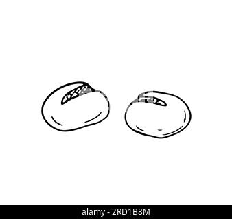 Vector hand-drawn buns on white background. Isolated illustration. Bakery vector element of design Stock Vector