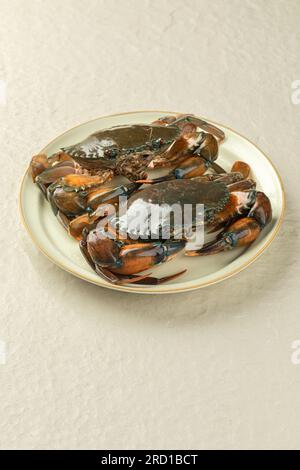 Giant Mud Crabs (Scylla serrata) also known as Black Crab, Mangrove Crab, Serrated Mud Crab, Captivity Tied Up offered for Sea Food dinner concept Stock Photo