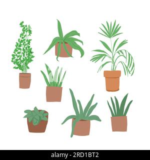 Plant in pot vector illustration set. Cartoon flat different indoor potted decorative houseplants for interior home or office decoration, green garden floral collection icons isolated on white. Vector illustration Stock Vector