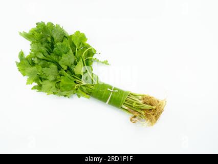 Isolated bunch of organic Asian celery on white background, wrapping with small banana leaf and tie with natural robe. Stock Photo