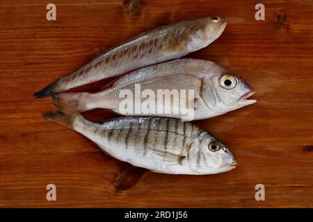 Uncooked common pandora fish , striped seabream and greeter weever on wooden table,Mediterranean fish with delicate flesh , Stock Photo