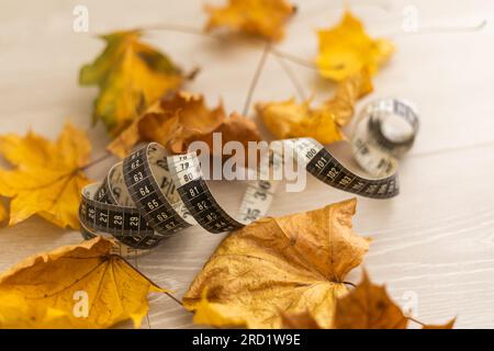dry autumn leaves and measuring tape Stock Photo