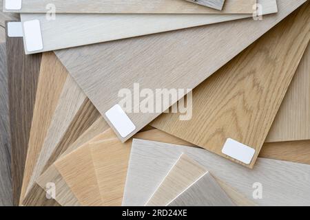 Wooden flooring samples. Architect or interior designer flat lay composition. Try before buy sample, choosing different wood floor shades and textures Stock Photo
