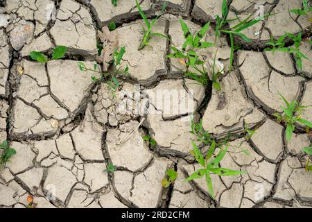 cracked earth in the ground climate change Stock Photo