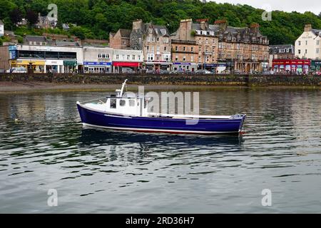 A blue and white fishing boat moored in Oban bay with shops in the background, Scotland, UK. Stock Photo