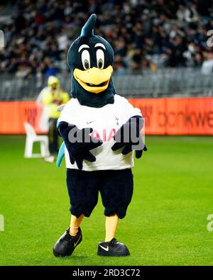 Tottenham Hotspur club mascot Chirpy Cockerel (centre) and the Chelsea ...