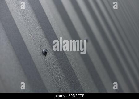 Roofing from galvanized metal profiled sheet, metal self-tapping screw with a press washer, fastening close-up Stock Photo
