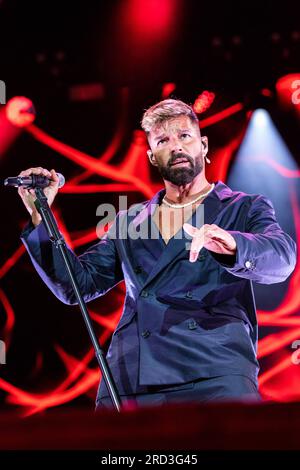 Eric Ricky Singer Puerto Rican actor and singer Ricky Martin attends the red carpet of ...