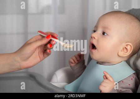 A mother feeds a baby boy who is 8 months old with meat puree. Feeding an infant. Stock Photo