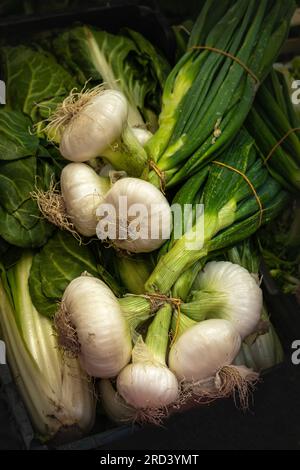 Bunch of spring onions tied with a string sold at the city market. Abruzzo, Italy, Europe Stock Photo