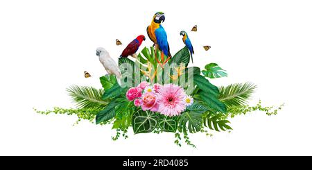Cluster of bouquets and tropical leaves and with vines and macaws on white background. Isolate Stock Photo