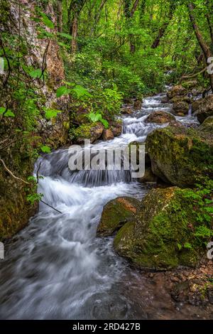 Sagittario river flows fast between rocks and woods near the Cavuto Springs, Anversa, Abruzzo, Italy, Europe Stock Photo