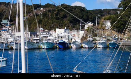 This small fishing port is home to both commercial and chartered fishing boats in a cove where the local villagers live in houses that are densely pac Stock Photo