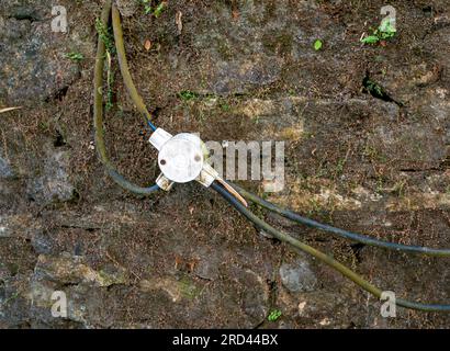 An old electrical wiring junction box and wires on mossy wall. Stock Photo