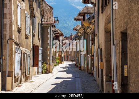 Houses along Rue du Bourg in Mens Trieves Grenoble Isere Auvergne-Rhone-Alpes France Stock Photo