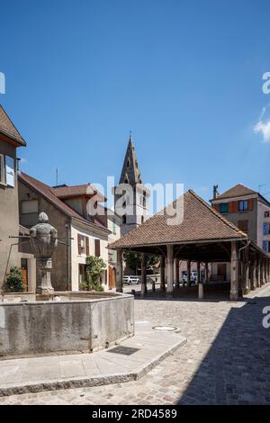 Les Halles in Mens Trieves Grenoble Isere Auvergne-Rhone-Alpes France Stock Photo