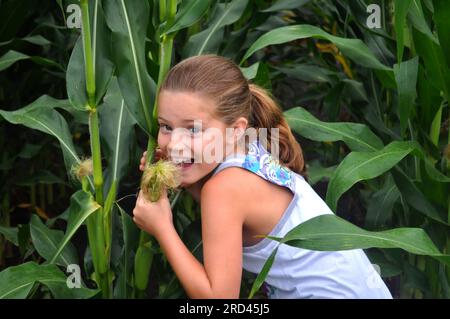 Young girl pretends to eat an ear of corn in Nebraska. She can