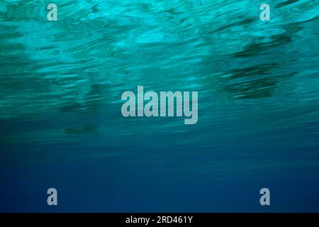 Water surface from underwater, Raja Ampat, West Papua, Indonesia Stock Photo