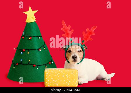Christmas card with cute dog wearing Rudolf reindeer antlers lying next to festive tree and gift box Stock Photo