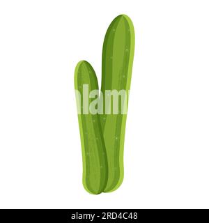 Mexican cactus vector illustration with thorns coloured. isolated on white background Stock Vector