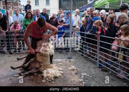 Sheep shearing demonstration at a Sheep Fair in the Market Place, Ashbourne, Derbyshire, England Stock Photo