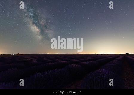 Panoramic photograph of the Milky Way over rows of a lavender field in bloom on a July night. Milky way with 70 degree angle of the galactic center ab Stock Photo