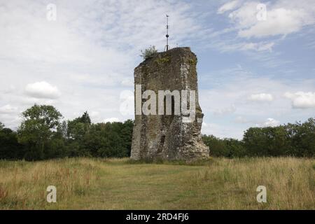 The ruin of the original Knepp Castle on the Knepp Estate West Sussex England.  Built 1089 and part demolished in 1648 Stock Photo