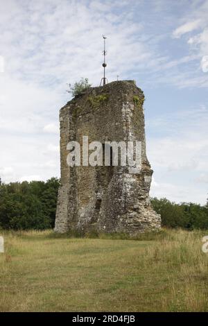 The ruin of the original Knepp Castle on the Knepp Estate West Sussex England.  Built 1089 and part demolished in 1648 Stock Photo