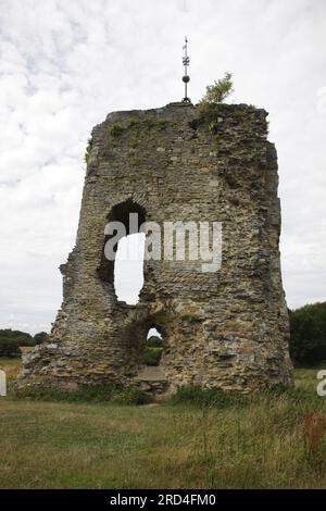 The ruin of the original Knepp Castle on the Knepp Estate West Sussex England.  Built 1089 and part demolished in 1648 Stock Photo