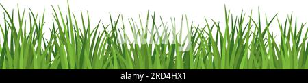 Lush grass and meadow close up isolated, ecology and environment concept Stock Vector