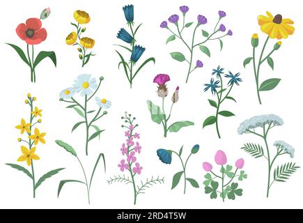 Pretty field flowers flat set for web design Stock Vector