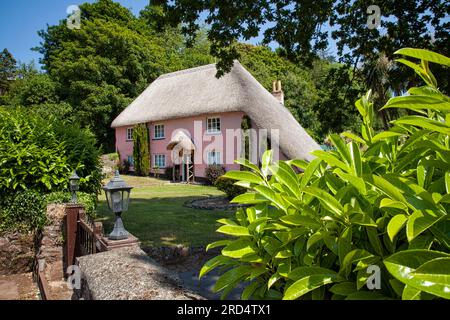 GB - DEVON: 'Rose Cottage' in Cockington near Torquay Stock Photo