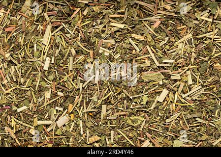 Macro blank photography of herbal tea, nettle, rosemary, dandelion, peppermint, lemongrass, verbena, dry, leaf,  raw, antioxidant, organic, natural, h Stock Photo