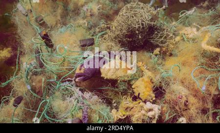 Dead Goby fish in lost fishing net lies on seabed on bright sunny day in Black sea, Ghost gear pollution of Seas and Ocean, Black sea, Odessa, Ukraine Stock Photo