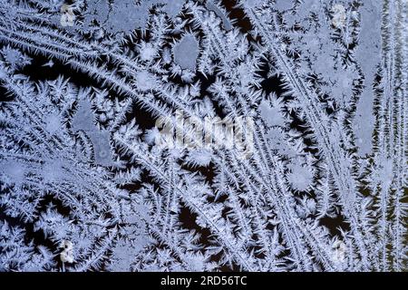 Ice flowers on the window Stock Photo