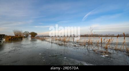 Frozen Flooded Fields on the Somerset Levels near Langport Jan 23 Stock Photo