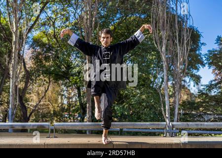 Martial arts fighter practicing crane pose Stock Photo