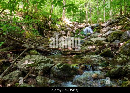 Krems spring, small waterfall at the sources of the river Krems, Micheldorf, Upper Austria, Austria Stock Photo