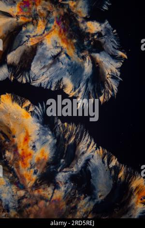 Effects of polarization on crystallization of chmemical substaces as show under the microscope Stock Photo
