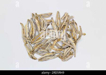 Dried anchovies on a white background. Isolated. Сlose-up. Top view. Small dried anchovies on salt on the table. Salted sea fish for beer. Seafood Stock Photo
