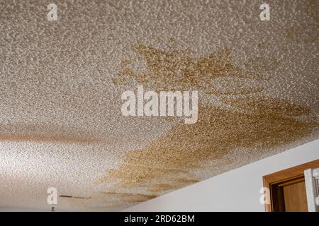 Water stains on a home interior ceiling with popcorn finish after a major water leak. USA. Stock Photo