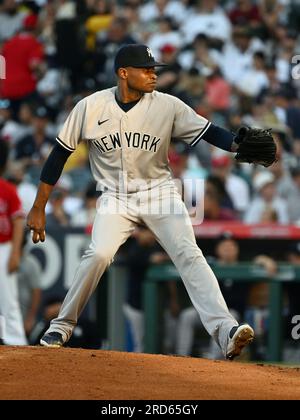 ANAHEIM, CA - JULY 18: New York Yankees pitcher Domingo German (0