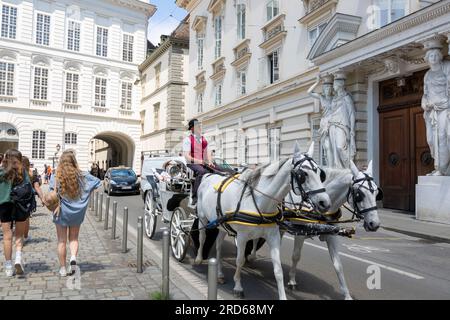 Vienna, Austria - June 13, 2023: Walking cart with horses on  Josefsplatz Square in Vienna Stock Photo