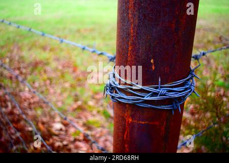 Barbed wire wrapped around a rusty metal corner post, forming a fence to keep livestock in, cattle farm in rural Missouri, MO, United States, USA, US. Stock Photo