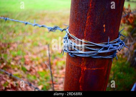 Barbed wire wrapped around a rusty metal corner post, forming a fence to keep livestock in, cattle farm in rural Missouri, MO, United States, USA, US. Stock Photo
