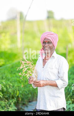 Farmer holding green chilli Basket in hands , harvesting chilli Stock Photo