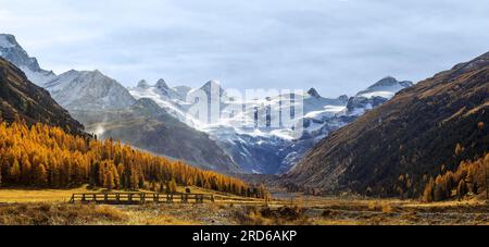 The famouse Roseg Valley with wooden bridge. The Roseg Glacier is at the background in golden fall season Stock Photo