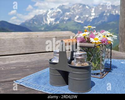 cruet stand with salt and pepper on an alpine pasture Stock Photo